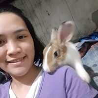 A Filipino looking for host family